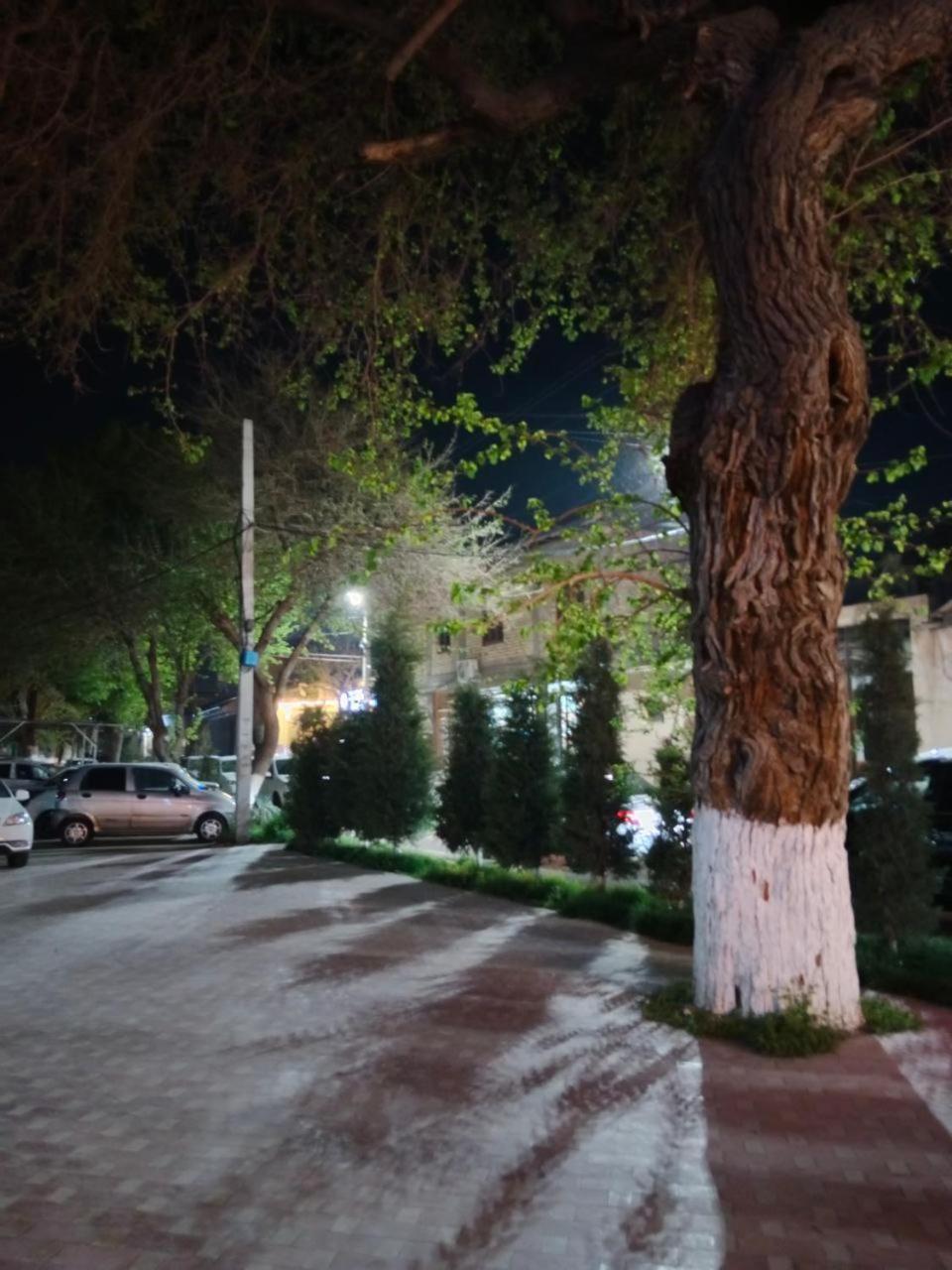Gulsara Hostel Samarkand Exteriör bild