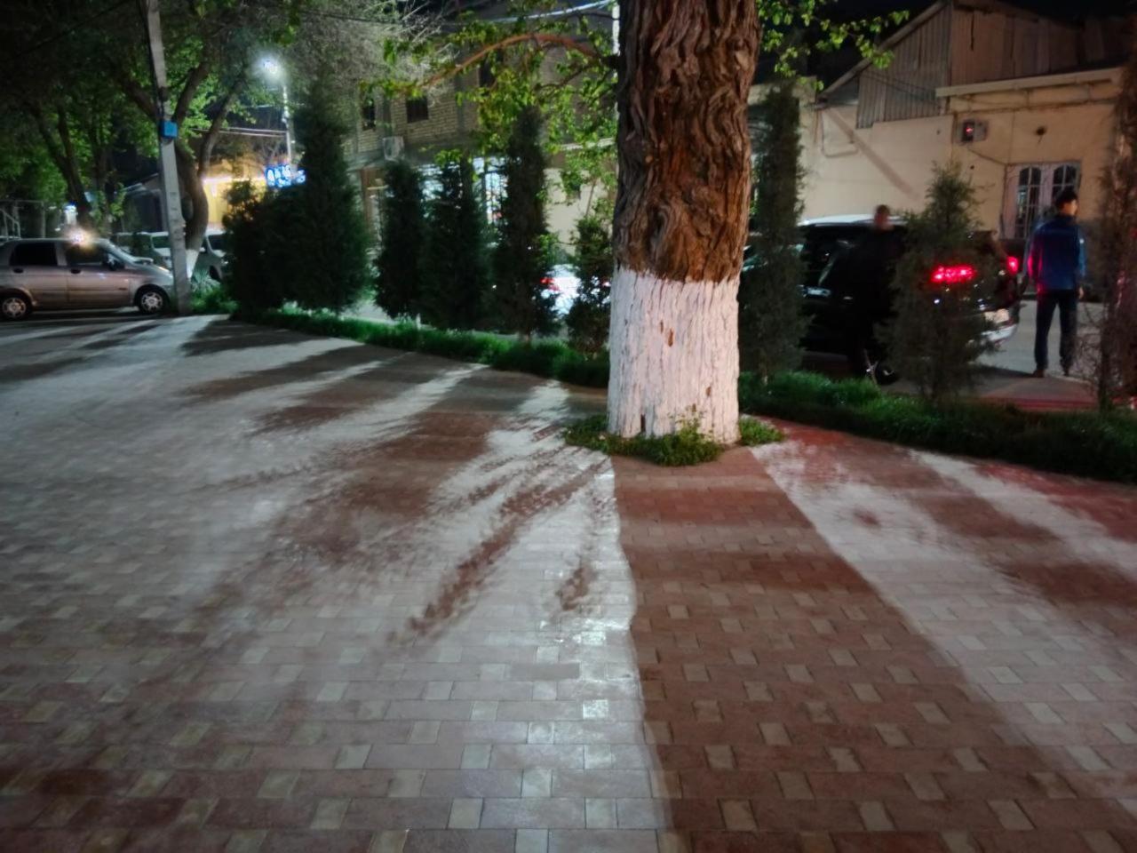 Gulsara Hostel Samarkand Exteriör bild